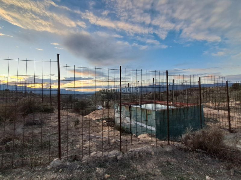 Foto 471a2b43-ea32-4d27-974a-072fbaac9eb9. Finca rústica a Riba-roja d´Ebre