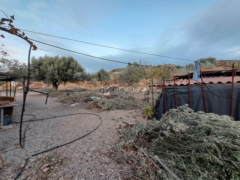 Foto 520d67d0-d896-4160-9146-66eb78559be3. Finca rústica a Riba-roja d´Ebre