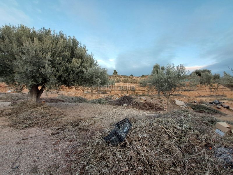 Foto 9d99f4ae-2a33-4f4a-bd28-6a820cdc0a89. Finca rústica a Riba-roja d´Ebre