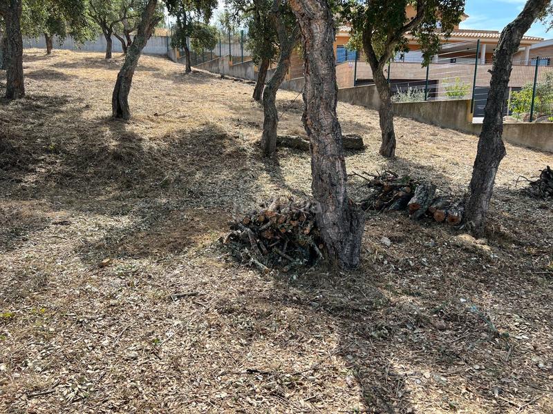 Foto 30183091-8271-4681-8cdc-c8d2ffe8ebca. Terreno residenziale in pinetell 5 in Puig Ses Forques - Torre Colomina Sant Antoni de Calonge