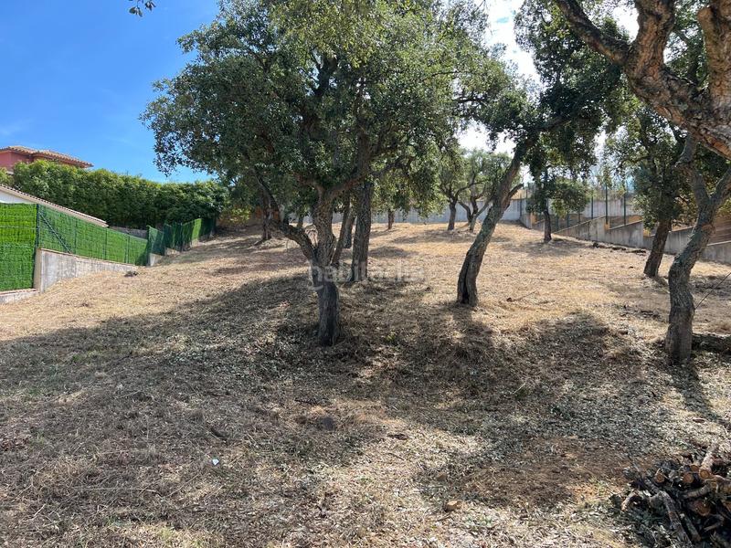 Foto acc84b75-8c9f-402e-bb10-ca107aecbf8a. Terreno residenziale in pinetell 5 in Puig Ses Forques - Torre Colomina Sant Antoni de Calonge