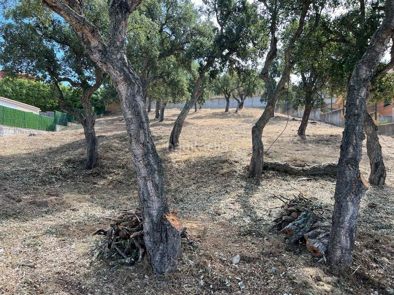 Foto b19d057c-2d11-41be-9484-08b356a4f7a5. Terreno residenziale in pinetell 5 in Puig Ses Forques - Torre Colomina Sant Antoni de Calonge