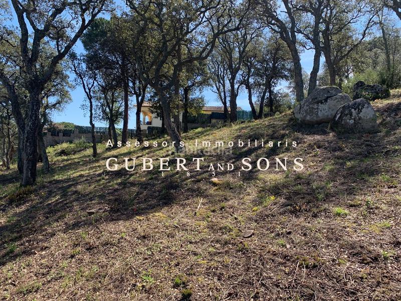 Foto c3782682-a27e-44e3-aa57-104c51072edd. Terreny residencial a isidre nonell 65 a Cabanyes-Mas Ambrós-Mas Pallí Calonge