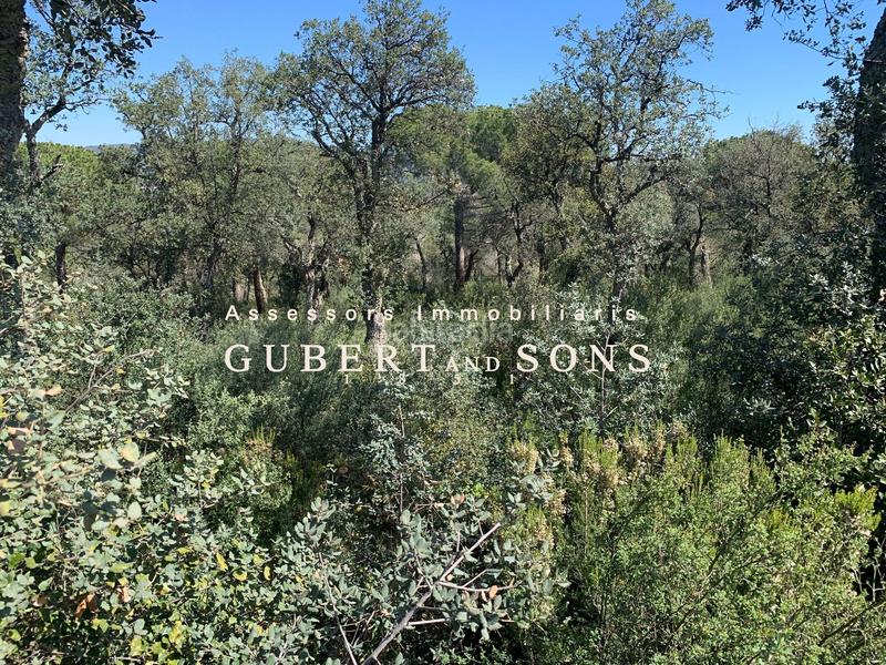 Foto a66faed1-4434-4dd7-a4f5-c8736b0e65a7. Terrain résidentiel dans vall-llobrega 17 dans Cabanyes-Mas Ambrós-Mas Pallí Calonge