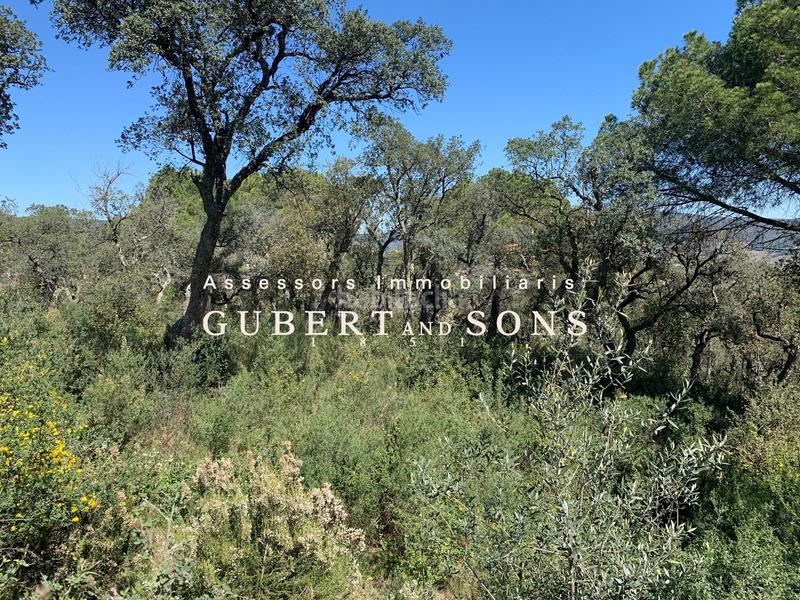 Foto cd7d2c1b-0731-41da-8312-a7186893333b. Terrain résidentiel dans vall-llobrega 17 dans Cabanyes-Mas Ambrós-Mas Pallí Calonge