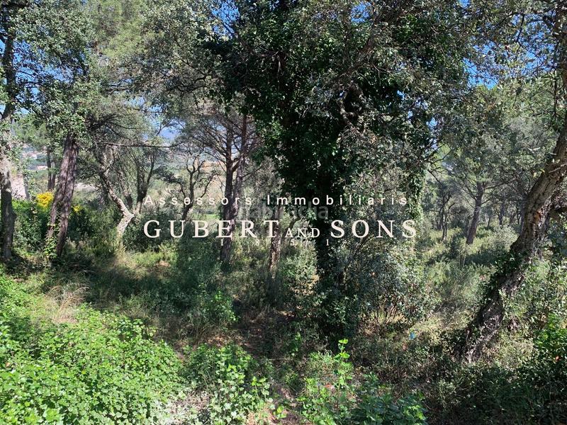 Foto f8877402-a113-4b64-ad5a-9557d5f90646. Terrain résidentiel dans vall-llobrega 17 dans Cabanyes-Mas Ambrós-Mas Pallí Calonge