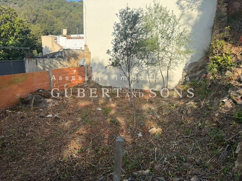 Foto 2ad05494-6ea1-44db-bca8-a1f39812d21f. Terreny residencial a Vall-llobrega