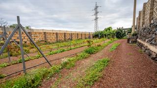 Residential Plot en Calle los oiganos 1. Parcela urbana, llana en su totalidad y con fcil acceso desde l