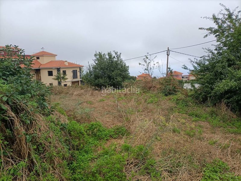 Foto 11a7bd87-1349-4799-866f-7d2c7cb667b1. Finca rústica a Palo Blanco Realejos (Los)
