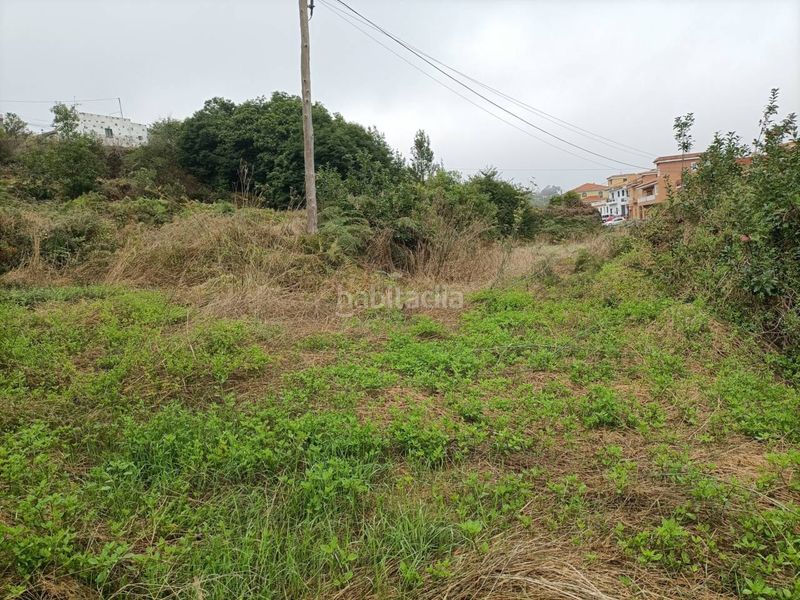 Foto 1ab06d53-d98a-4ea6-8801-44551d282efb. Finca rústica a Palo Blanco Realejos (Los)