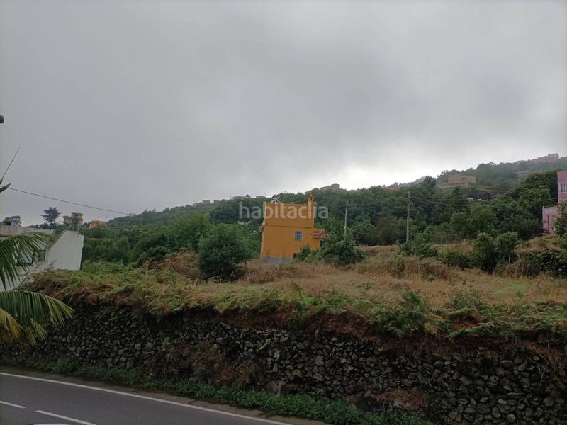 Foto e3091e53-ad02-4392-8063-31e1e7001585. Finca rústica a Palo Blanco Realejos (Los)