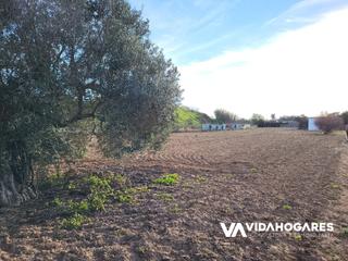 Mas à Norte - Blanca Paloma. Parcela rústica con pozo, árboles frutales, cuarto de aperos, ag