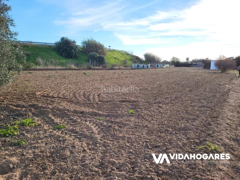 Foto 7a76fd4e-7e3d-40d0-9295-a932abba5b96. Masía parcela rústica con pozo, árboles frutales, cuarto de aperos, agua de riego y pre instalación de agua potable. estupendo para siem en Rota