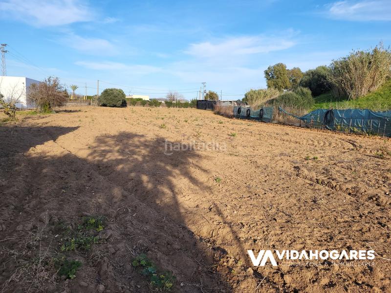 Foto a5faea1e-03dc-4a34-8373-916bb94da046. Masía parcela rústica con pozo, árboles frutales, cuarto de aperos, agua de riego y pre instalación de agua potable. estupendo para siem en Rota