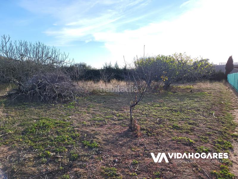 Foto b9de19a4-8ff9-4e5f-950e-45008c2ceaac. Masía parcela rústica con pozo, árboles frutales, cuarto de aperos, agua de riego y pre instalación de agua potable. estupendo para siem en Rota