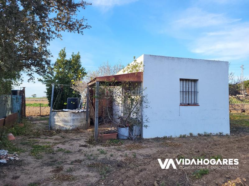 Foto d0a5c543-3f46-4b8c-ba89-f1c0e6d1bc5b. Masía parcela rústica con pozo, árboles frutales, cuarto de aperos, agua de riego y pre instalación de agua potable. estupendo para siem en Rota