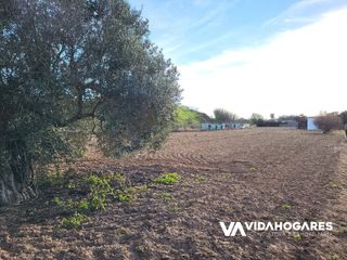 Masia en Norte - Blanca Paloma. Parcela r�stica con pozo, �rboles frutales, cuarto de aperos, ag
