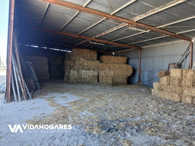 Foto 5d066e8b-58bb-42b2-a3cd-269dd6d7d58a. Masia a Aguadulce - Almadraba - Punta Candor Rota