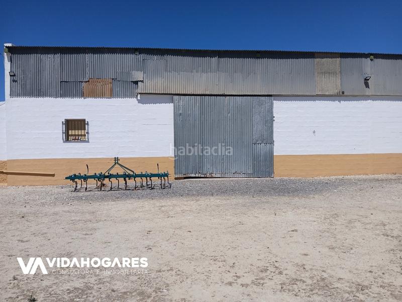 Foto fa384e2e-9939-4756-ab15-f312474eee0a. Masia a Aguadulce - Almadraba - Punta Candor Rota