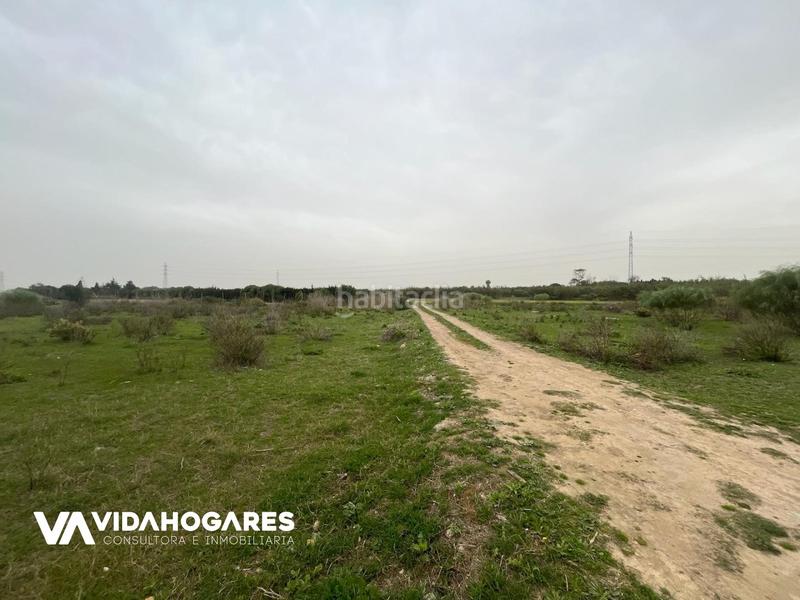 Foto 00498f5b-8845-4f83-a108-475a708ef7da. Masía parcela rústica de 3.700 mts. cuadrados, ubicada entre costa ballena y , si quieres una parcela de estas características, no d en Rota