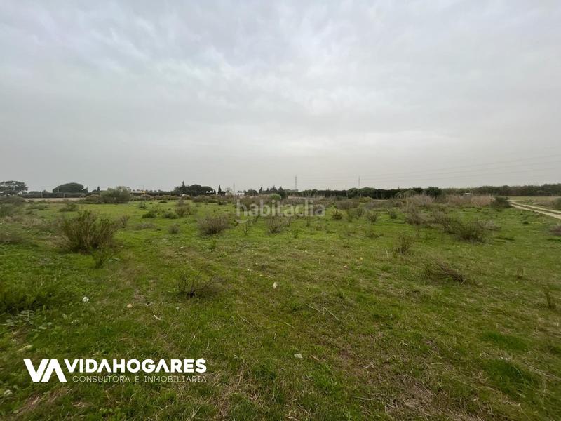 Foto 0c251c84-82d6-4b0a-b21e-96b7cfdad9fc. Masía parcela rústica de 3.700 mts. cuadrados, ubicada entre costa ballena y , si quieres una parcela de estas características, no d en Rota
