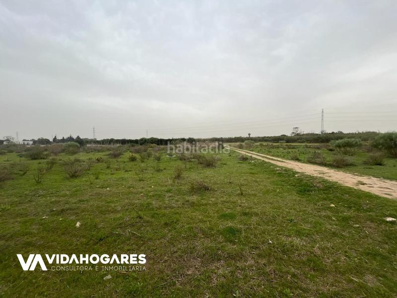 Foto 3f083544-3d31-4f22-b0ef-bcfe7f555050. Masía parcela rústica de 3.700 mts. cuadrados, ubicada entre costa ballena y , si quieres una parcela de estas características, no d en Rota