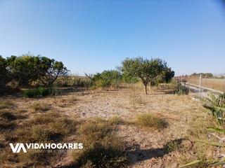 Mas à Aguadulce - Almadraba - Punta Candor. Agua potableagua regadioun punto de luz