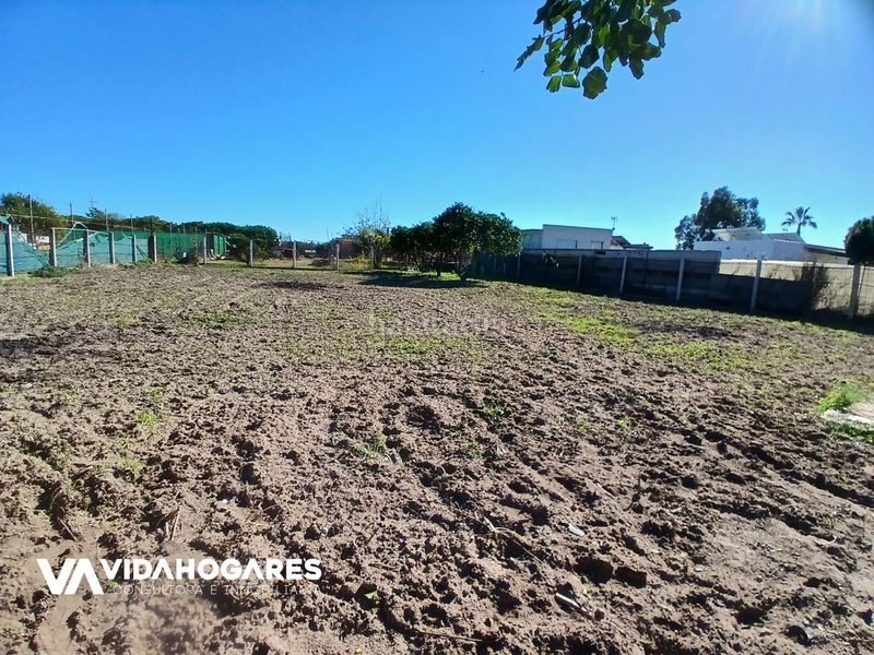 Foto d29cfbfc-55a3-41f0-b3fe-4a95becb27cd. Mas dans Aguadulce - Almadraba - Punta Candor Rota