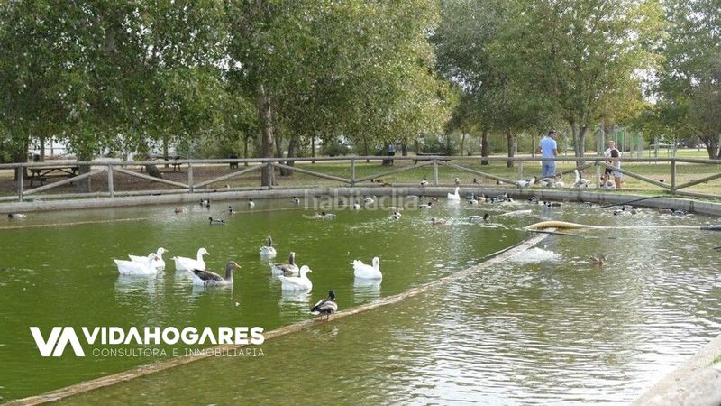 Foto 40587338-9ac5-4cdf-8c83-d17eaf801acd. Casa pareada descubre la oportunidad que estabas esperando , en la demandada zona de laguna del moral, a escasos minutos de la playa. un en Rota