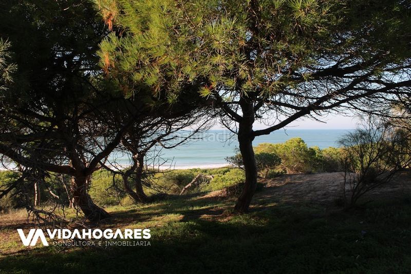 Foto 98a17f74-44b0-4944-bc74-6fee7a6e9ac2. Casa a Bahia Luz - La Forestal Rota