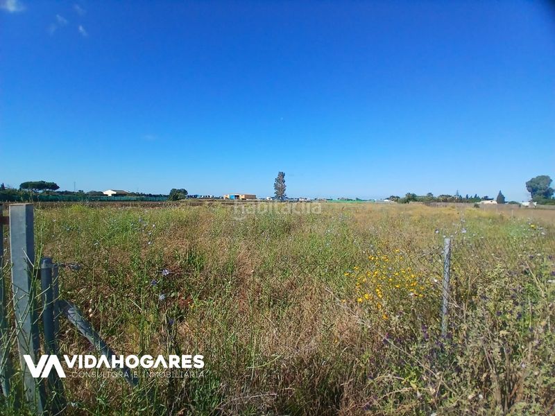 Foto f69ecc07-eb3c-4311-818b-0664081fbbf2. Masia a Norte - Blanca Paloma Rota