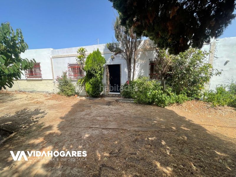 Foto 1170140f-3bed-4b35-9819-e46a8601f068. Masia a Norte - Blanca Paloma Rota
