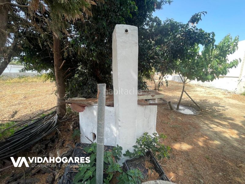 Foto b2565219-b737-4adc-9ab7-d24a2eda6661. Masia a Norte - Blanca Paloma Rota