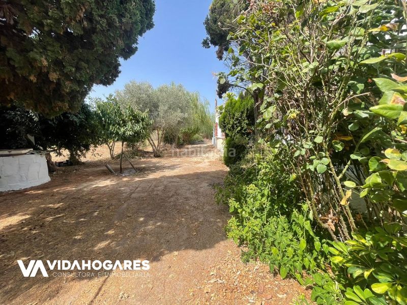 Foto be23b584-ab25-41d7-9f48-01846e73c742. Masia a Norte - Blanca Paloma Rota
