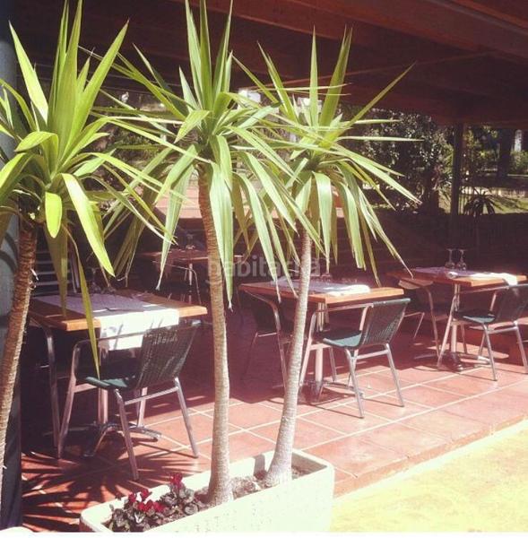 Foto b30618b6-8f7d-4109-bc38-aa6c06ed7eab. Business premise in Centre Palafrugell