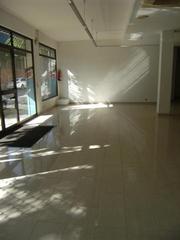 Local Comercial  Pequin