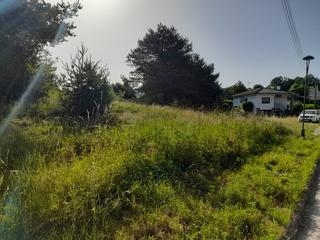 Terreny residencial  Ca la guapa