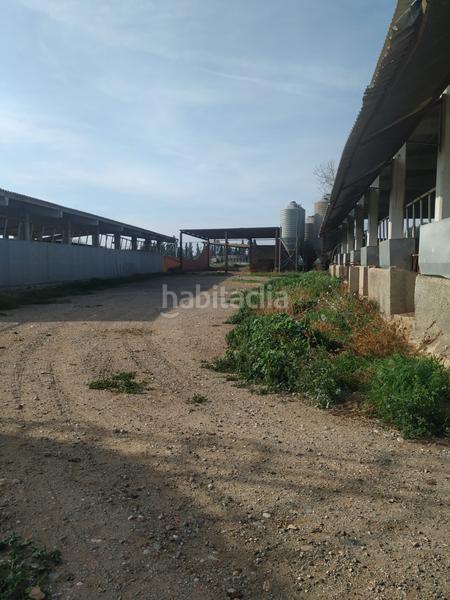 Foto 33d7ed3f-2dc4-4ea0-b334-c66e1939c77b. Propriété dans Tarraco Cambrils