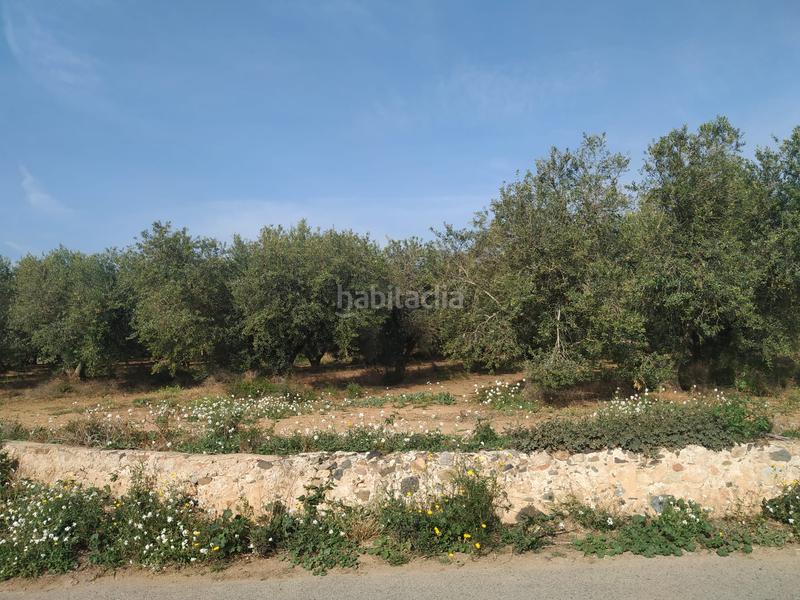 Foto adef642c-f8f9-4f21-9488-5a85d04bc063. Propriété dans Tarraco Cambrils