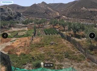 Finca rústica a Alhama de Almería. Parcelas con cortijos y sin cortijos. desde 15.000