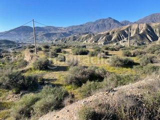 Foto 398f5734-706c-4ceb-bfaa-07c75f3215f3. Finca rústica a Alicún