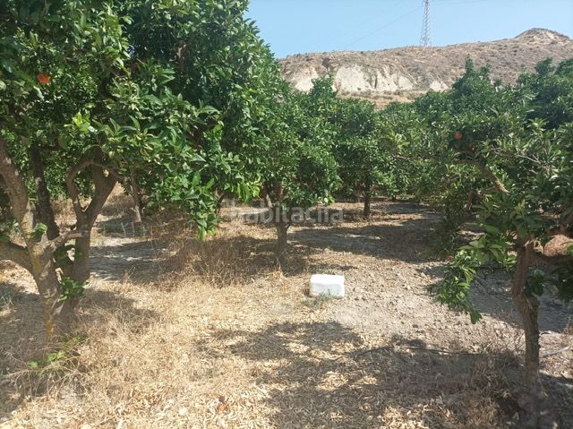 Foto 59ada5bc-f1ce-489b-a528-a36eb9ac3475. Finca rústica a Alicún