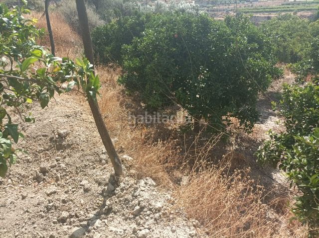 Foto a9bf87cc-f02f-4d35-831e-6850256e3219. Finca rústica a Alicún