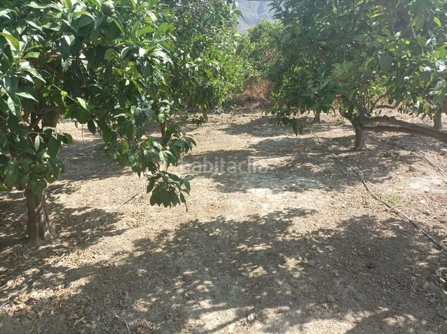 Foto e8c64c8a-3388-46cb-9205-e4e0d6b6597b. Finca rústica a Alicún