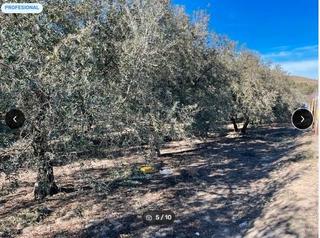 Finca rústica a Tres Villas (Las). Se vende parcelas con cortijo