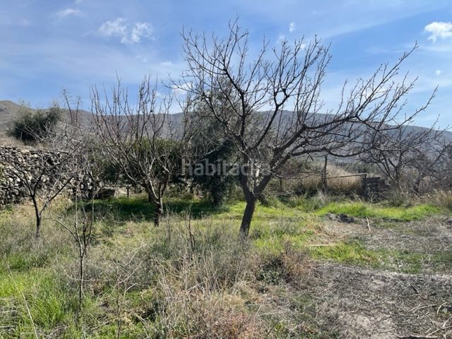 Foto 9aa844e9-8b27-430d-96ba-ad5d1d96d55c. Casa a Nacimiento