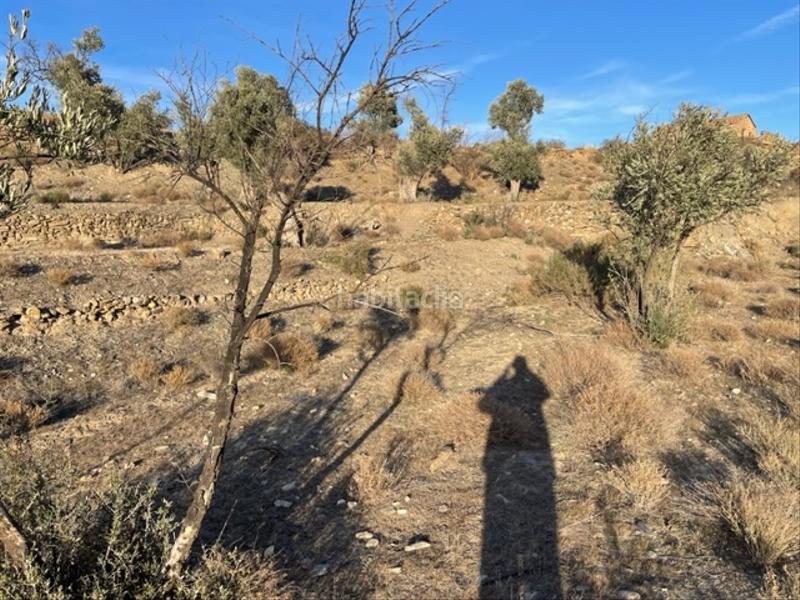 Foto 256ac8fb-3512-4bea-9b62-5a13525de9a4. Finca rústica a Abla