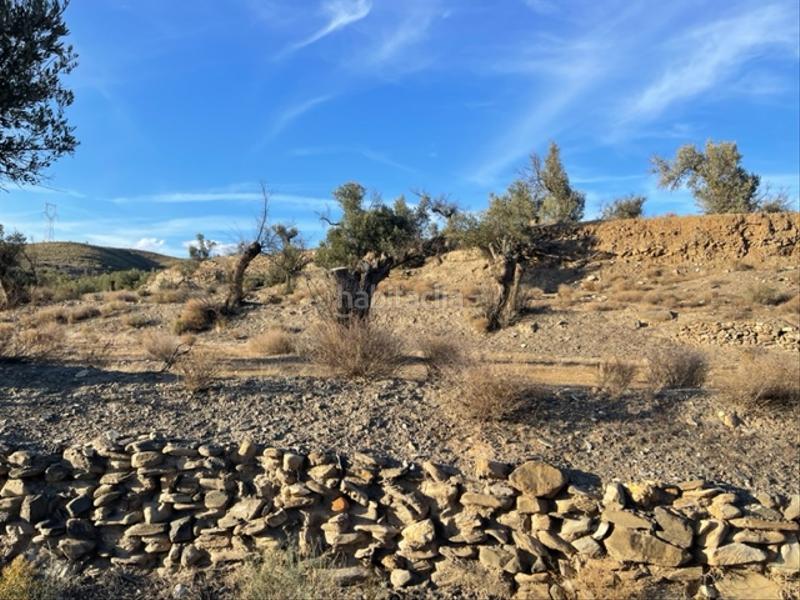 Foto 43ae3704-5c47-4639-8887-7a9caa558c49. Finca rústica a Abla