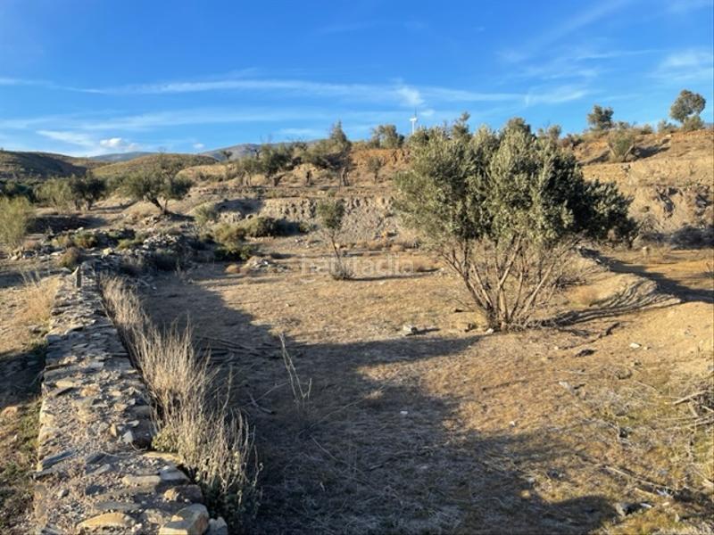 Foto 5d22e47a-6cfd-43d5-b546-6822d3b0759c. Finca rústica a Abla