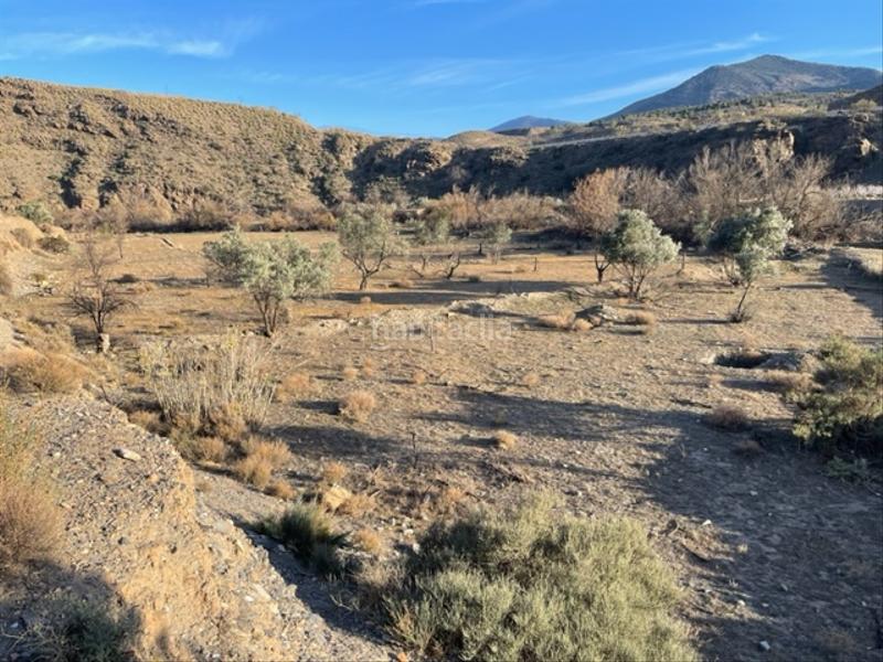 Foto 62093344-d513-4711-9015-9ccf919ce500. Finca rústica a Abla